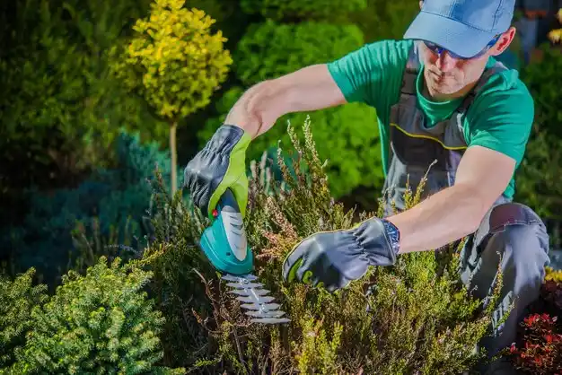 landscaping services North Carrollton